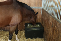 Pojemnik na siano HayBox, zielony, Kerbl | poltechparts.pl