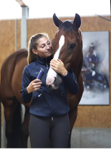 Maszynka do strzyżenia koni Durati Horse, 1 akumulator, niebieski/czarny, Aesculap