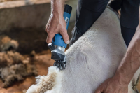 Maszynka do strzyżenia owiec FarmClipper… | poltechparts.pl