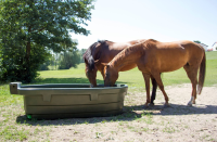 Poidło pastwiskowe, 1000 l, Kerbl | poltechparts.pl