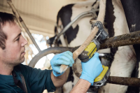 Trymer do włosów ogonów krów TailWell Tit… | poltechparts.pl