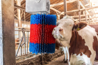 Czochradło automatyczne HAPPYCOW MidiSwin… | poltechparts.pl