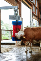 Czochradło automatyczne HAPPYCOW MaxiSwin… | poltechparts.pl