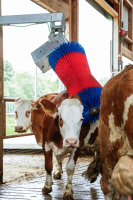 Czochradło automatyczne HAPPYCOW MaxiSwin… | poltechparts.pl