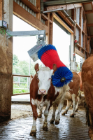 Czochradło automatyczne HAPPYCOW MaxiSwin… | poltechparts.pl