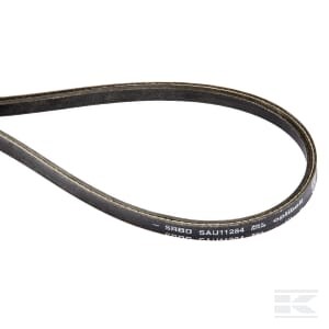 Pas klinowy