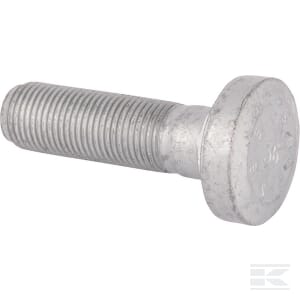 Bolt