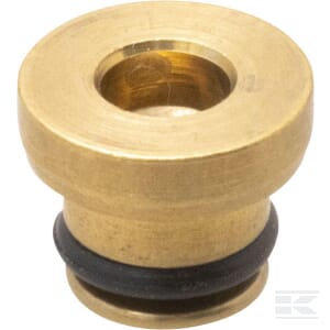 Dysza główna