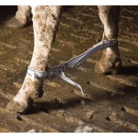Bransoletka na kostce | poltechparts.pl