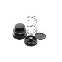 Zestaw naprawczy pompy paliwa - 380120332 - Sklep rolniczy PoltechParts