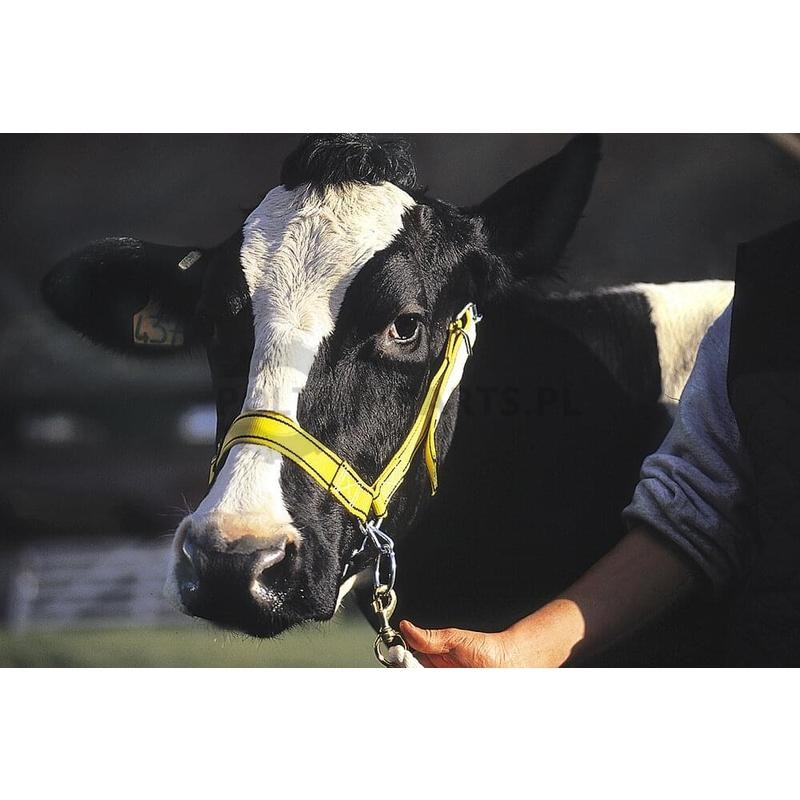 Halter | poltechparts.pl