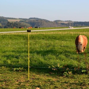 Fiberglaspfahl, 125cm, 12mm Durchmesser,