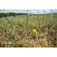 Siatka dla owiec | poltechparts.pl