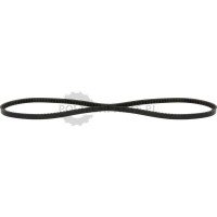 Pasek klinowy - 23815CAT209 - Sklep rolniczy PoltechParts