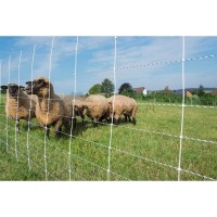 Schafnetz | poltechparts.pl