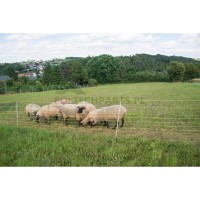 Siatka na owce | poltechparts.pl