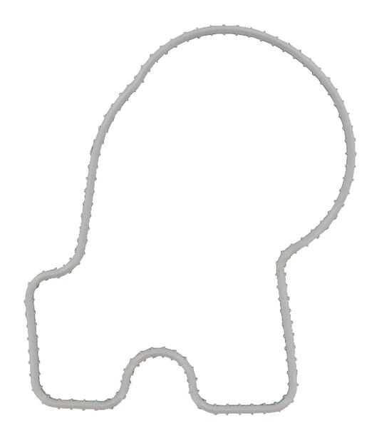 Uszczelka termostatu