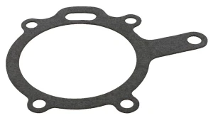 Uszczelka pompy wody, CNH Case IH 505572