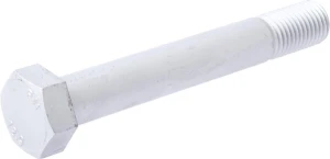Śruba z łbem sześ. zał. M30x21 Lemken 3014910