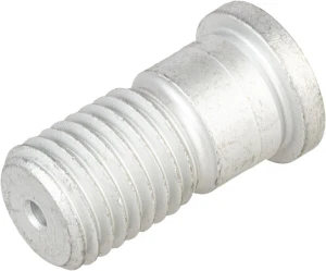 Śruba D25/20x39/43,5-M20 Lemken 3018218