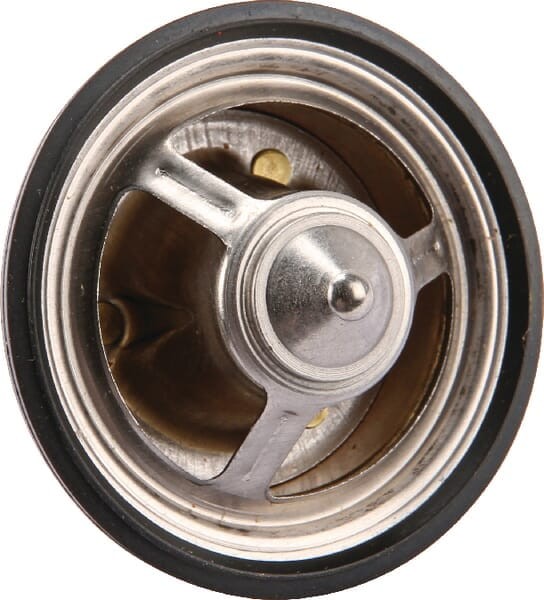 Termostat OEM