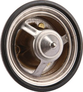 Termostat OEM