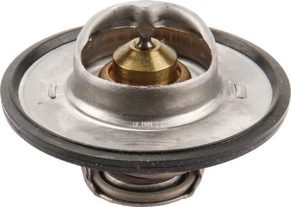 Termostat OEM