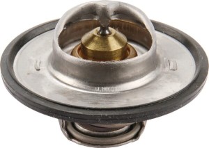 Termostat OEM