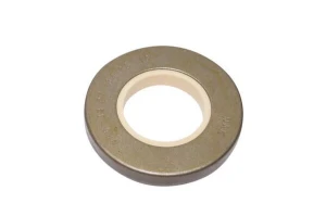 Uszczelniacz oleju 33x64.5x10 mm Case IH 89651C91