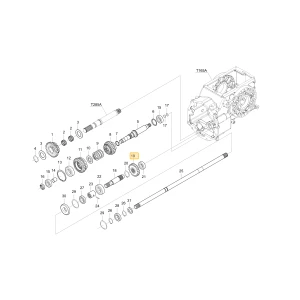 Koło zębate 21 KIOTI T2815-44621