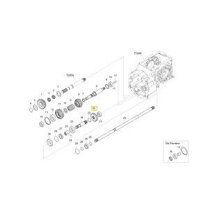 Koło zębate 22 KIOTI T4115-44621