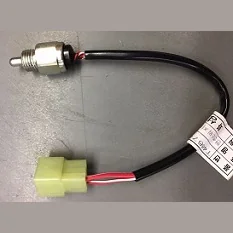 Przełącznik bezpieczeństwa Nc KIOTI T4667-69401