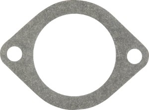 Uszczelka termostatu, Case-Steyr OEM