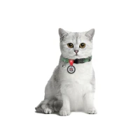 Obroża WAUCAT Re-сotton rozm. XS zielony