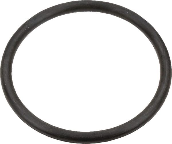 Pierścień uszczelniający o-ring Case IH OEM