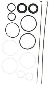 Zestaw naprawczy cylindra, Case - IH OEM