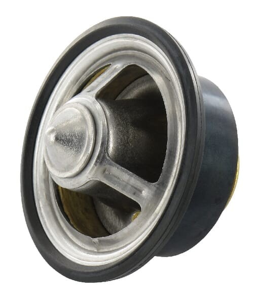Termostat OEM