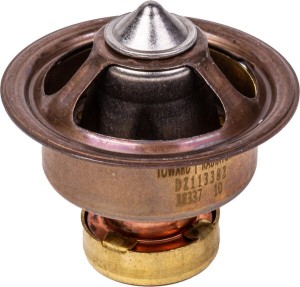 Termostat OEM
