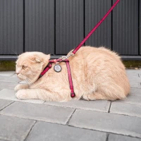 Szelki ze smyczą WAUCAT Nylon «Arbuz» rozm. XS