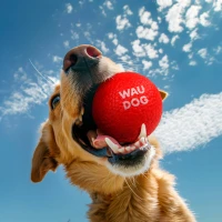 Piłka WAUDOG Fun czerwony — WAUDOG Fun Red Ball zabawna