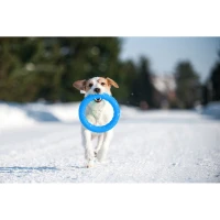 Kółko PitchDog rozm. 20 cm niebieski