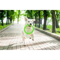 Kółko PitchDog rozm. 20 cm jasnozielony