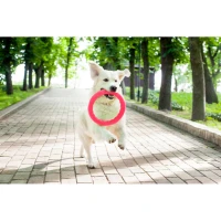 Kółko PitchDog rozm. 20 cm różowy — PitchDog20 pierścień do
