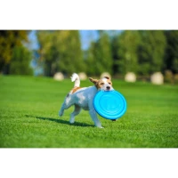 Latający dysk PitchDog rozm. 24 cm niebieski