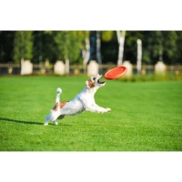 Latający dysk PitchDog rozm. 24 cm pomarańczowy