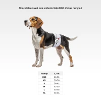 Pas sanitarny WAUDOG Vet rozm. M szary