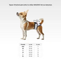 Majtki higieniczne WAUDOG Vet rozm. XXS szary