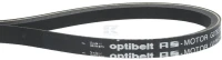 Pas Rotor Scarifier 100241 | poltechparts.pl
