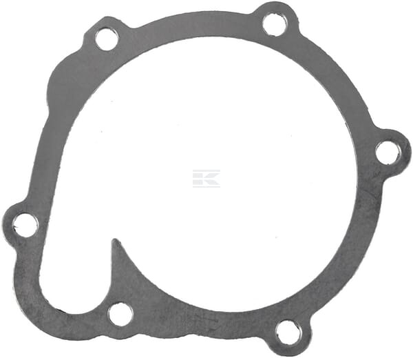 Water pump gasket