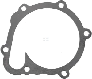 Water pump gasket